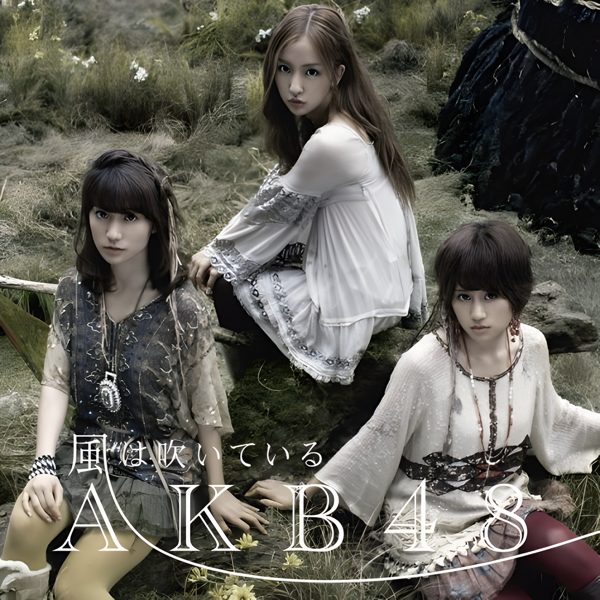 君の背中 / AKB48